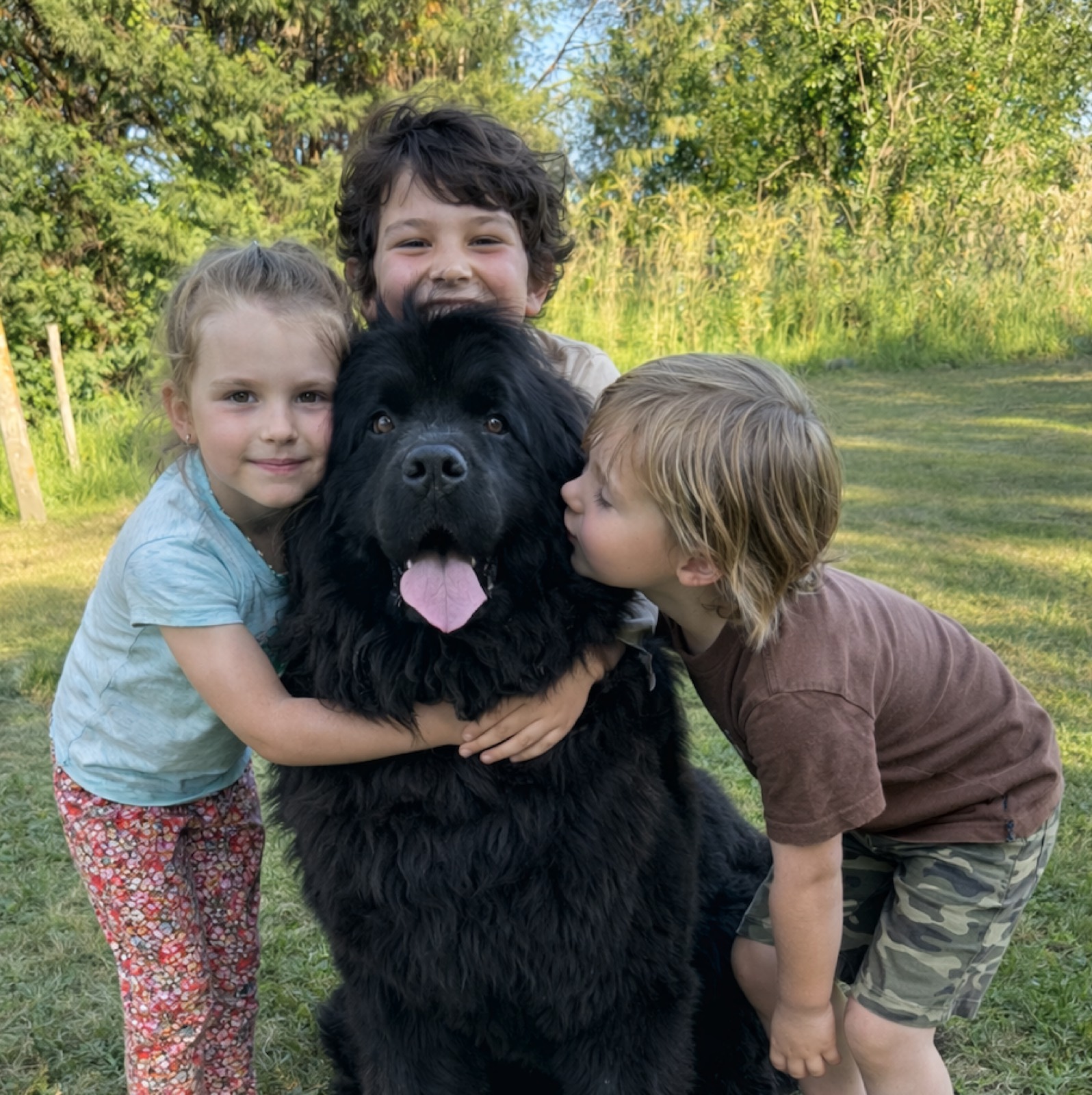 Enfants avec un chien terre-neuve