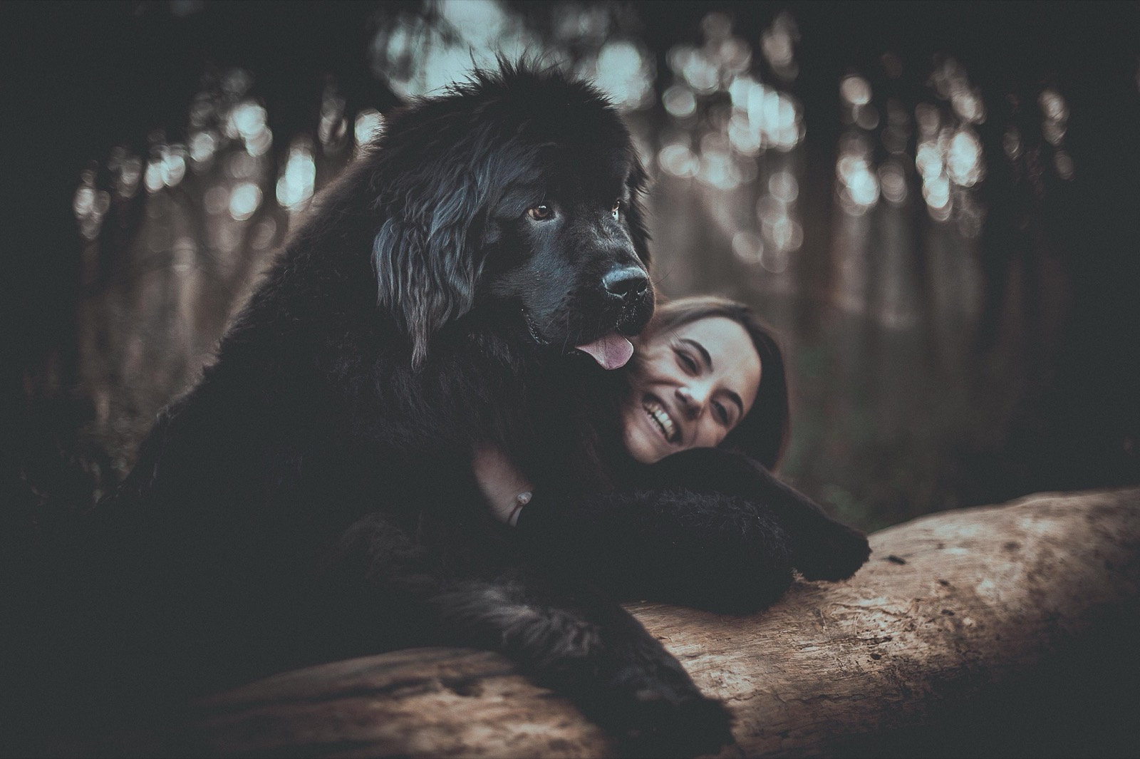 Sophie et son chien terre-neuve en forêt