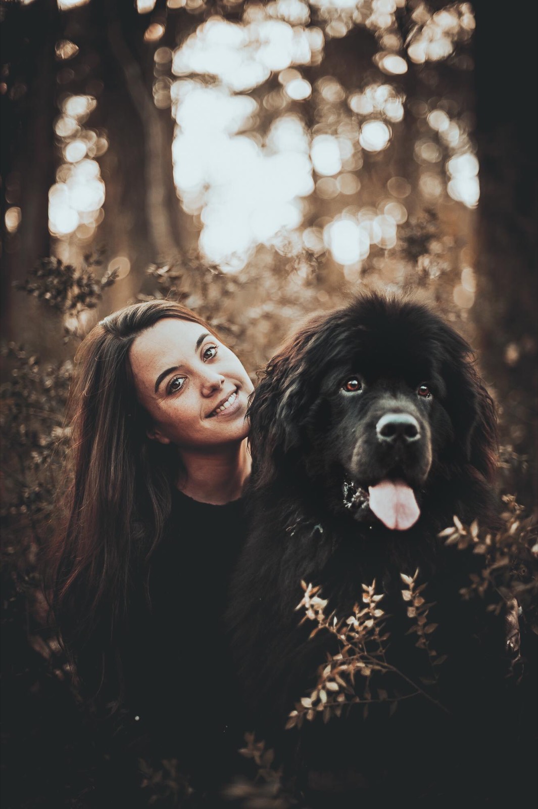 Sophie et son chien terre-neuve