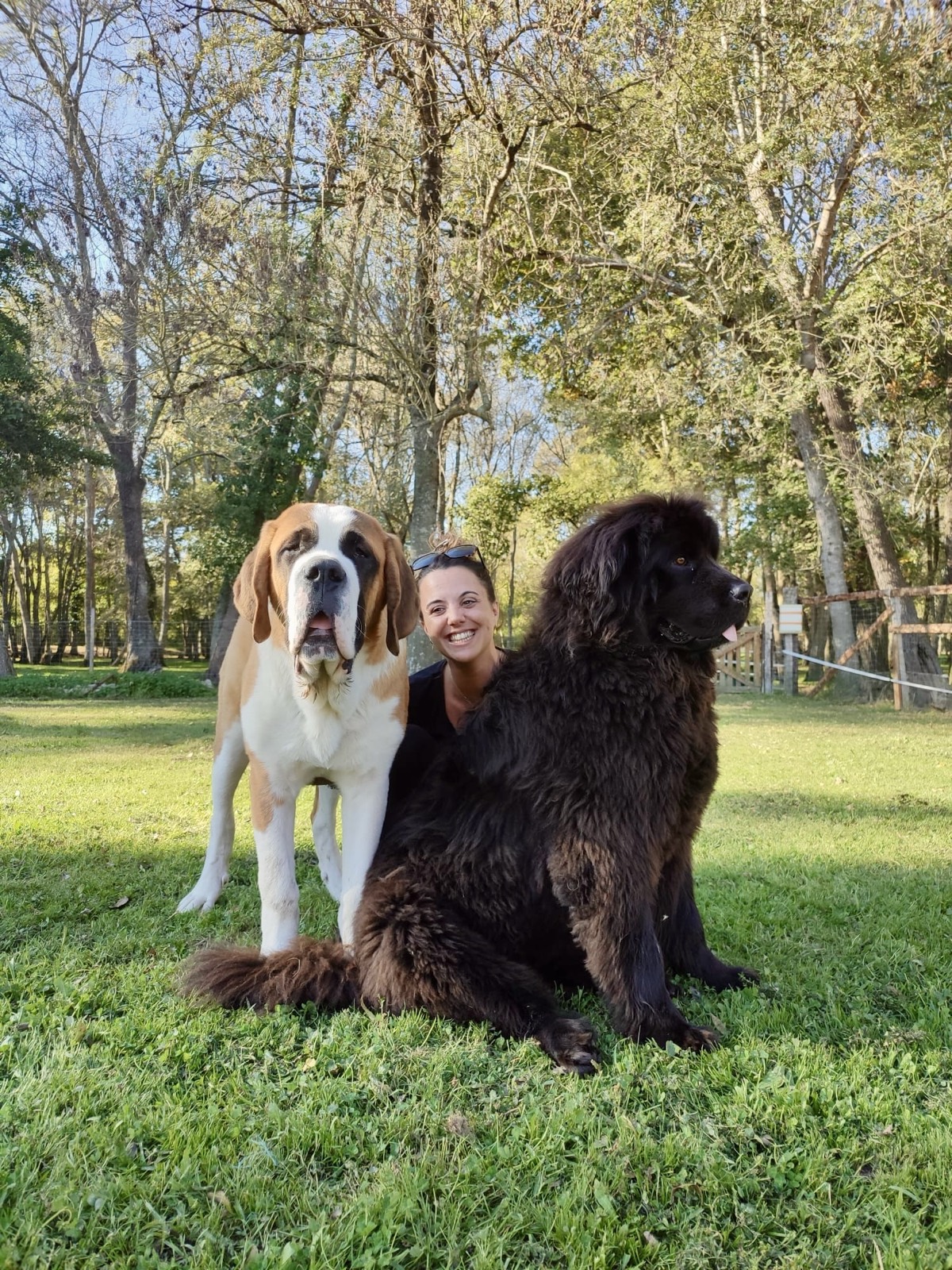 Sophie Fauchon avec ses chiens